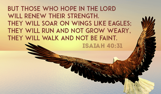 06252015-cm-hope-will-renew-soar-eagles-social-550x320